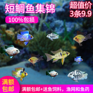 老魚匠加熱棒顯示故障碼(老魚匠加熱棒e1) 老魚匠 第1張 老魚匠加熱棒顯示故障碼(老魚匠加熱棒e1) 老魚匠加熱棒顯示故障碼(老魚匠加熱棒e1) 老魚匠 第1張