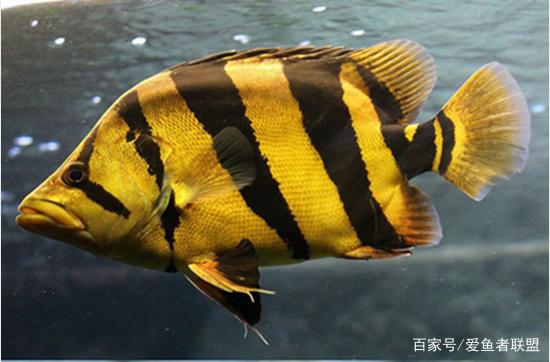 創寧加熱棒故障代碼4.5.0(創寧加熱棒故障代碼450什么意思)