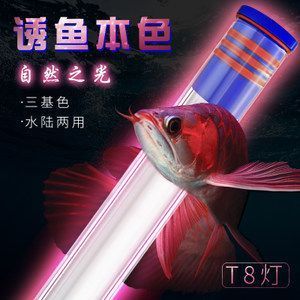 魚缸造景顏料配方表（ 魚缸造景彩石圖片）