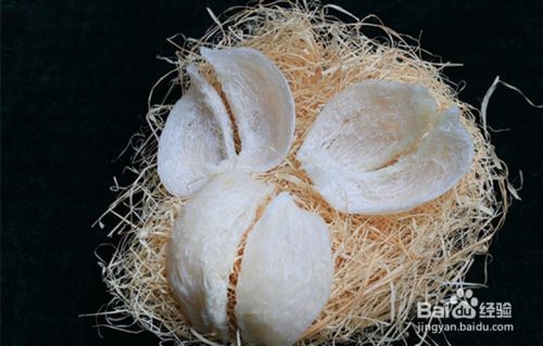 龍魚(yú)最佳濾材是什么（龍魚(yú)最佳濾材是什么意思）