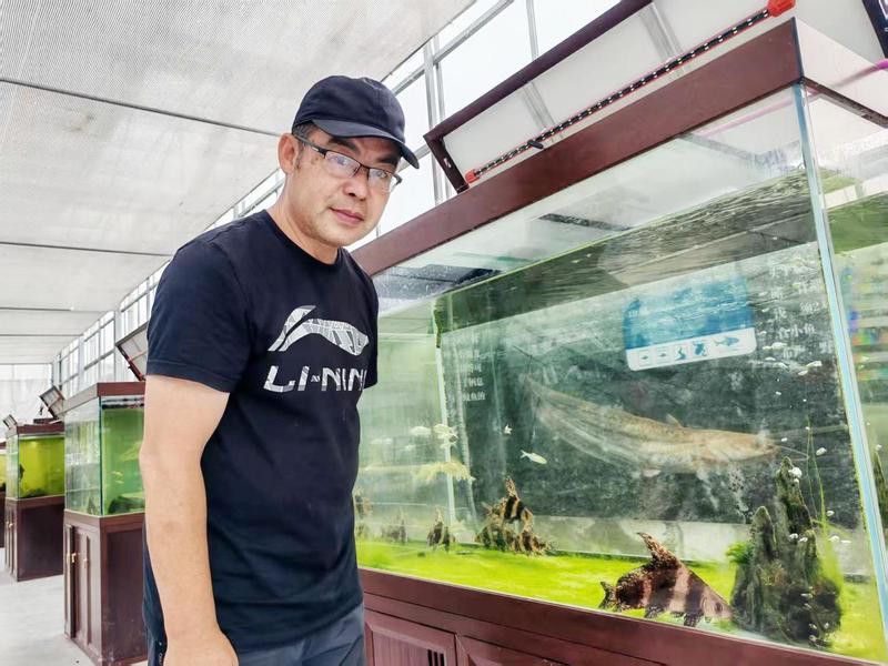 儀征龍魚店【儀征龍魚養(yǎng)殖與貿(mào)易】 儀征龍魚店【儀征龍魚養(yǎng)殖與貿(mào)易】 全國水族館企業(yè)名錄 第1張