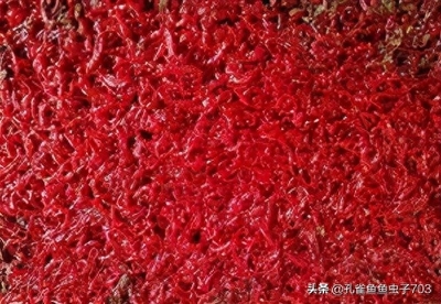創(chuàng)寧加熱棒售后服務(wù)電話(創(chuàng)寧加熱棒售后服務(wù)電話地址)