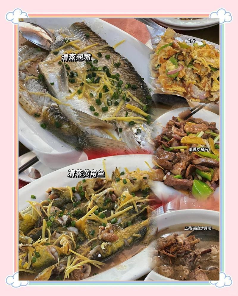 乳源龍魚店，乳源龍魚店的評價 乳源龍魚店，乳源龍魚店的評價 全國水族館企業名錄 第1張
