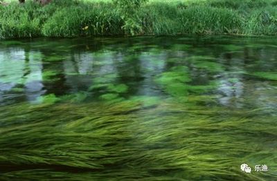 創寧變頻水泵怎么樣有嗡嗡聲嗎(創寧變頻水泵真的省電嗎)