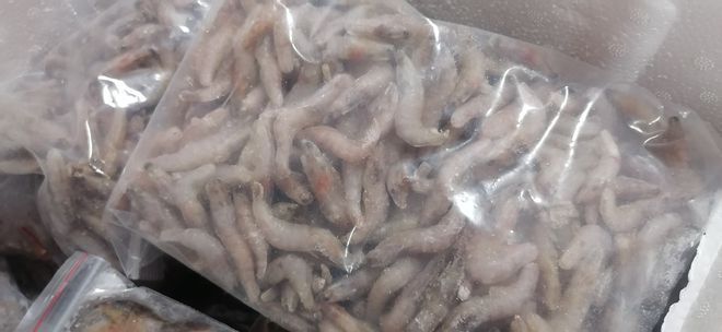 成都可麗愛(ài)水族：探索甘孜藏族自治州的可麗愛(ài)魚(yú)缸專賣店，水族藝術(shù)的藏地明珠