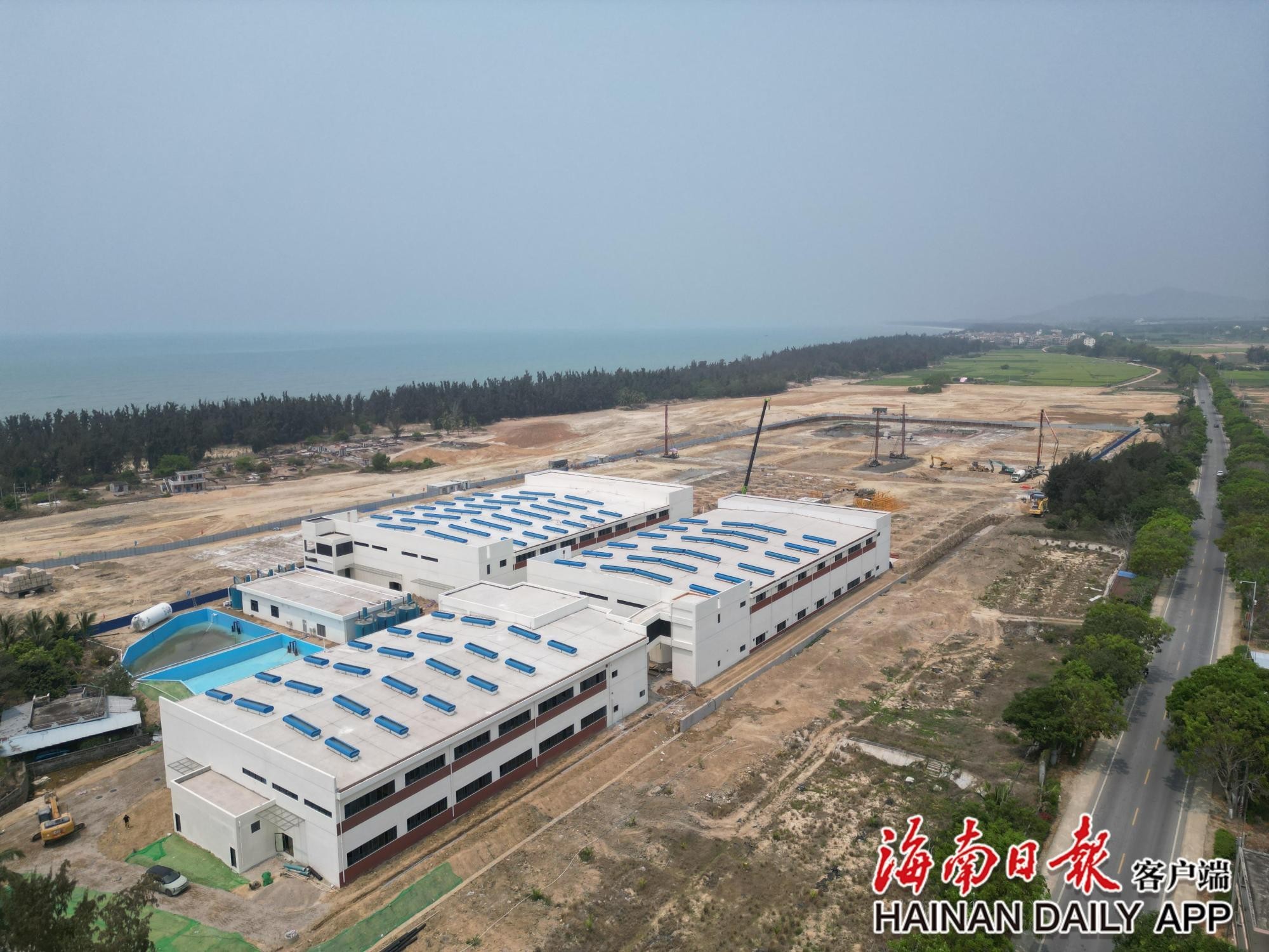 金龍魚需要氧氣嗎vs祥龍魚場：金龍魚是否需要24小時打氧