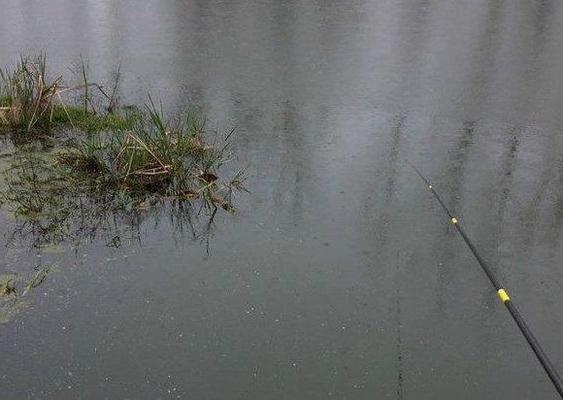 博特魚缸售后服務(wù)電話號(hào)碼是多少(博特魚缸設(shè)備官網(wǎng))