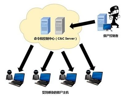 博特英語名字：博特英語名字怎么取？