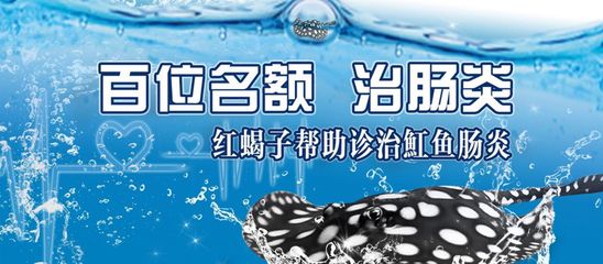 魟魚腸炎表現(xiàn)癥狀視頻：魟魚腸炎癥狀