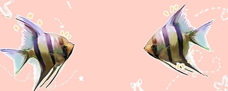 星巴克咖啡豆種類13種圖片(星巴克咖啡豆種類13種圖片大全) 馬來西亞咖啡 第1張 星巴克咖啡豆種類13種圖片(星巴克咖啡豆種類13種圖片大全) 星巴克咖啡豆種類13種圖片(星巴克咖啡豆種類13種圖片大全) 馬來西亞咖啡 第1張