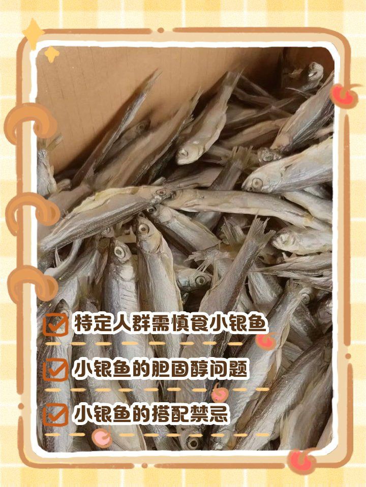 玫瑰銀板魚最忌三種東西，《玫瑰銀板魚最忌三種東西》玫瑰銀板魚作為一種觀賞性較強的觀賞性較強的觀賞魚類