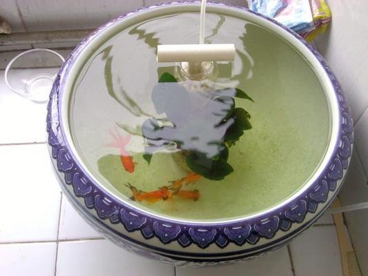森森魚缸魚糞怎么清理