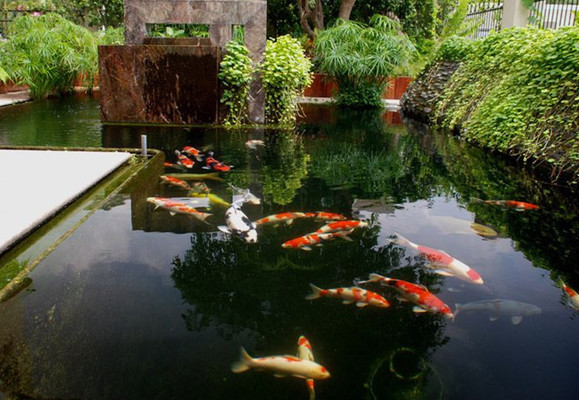 創(chuàng)寧變頻水泵水流大怎么解決(創(chuàng)寧變頻水泵怎么調(diào)節(jié))