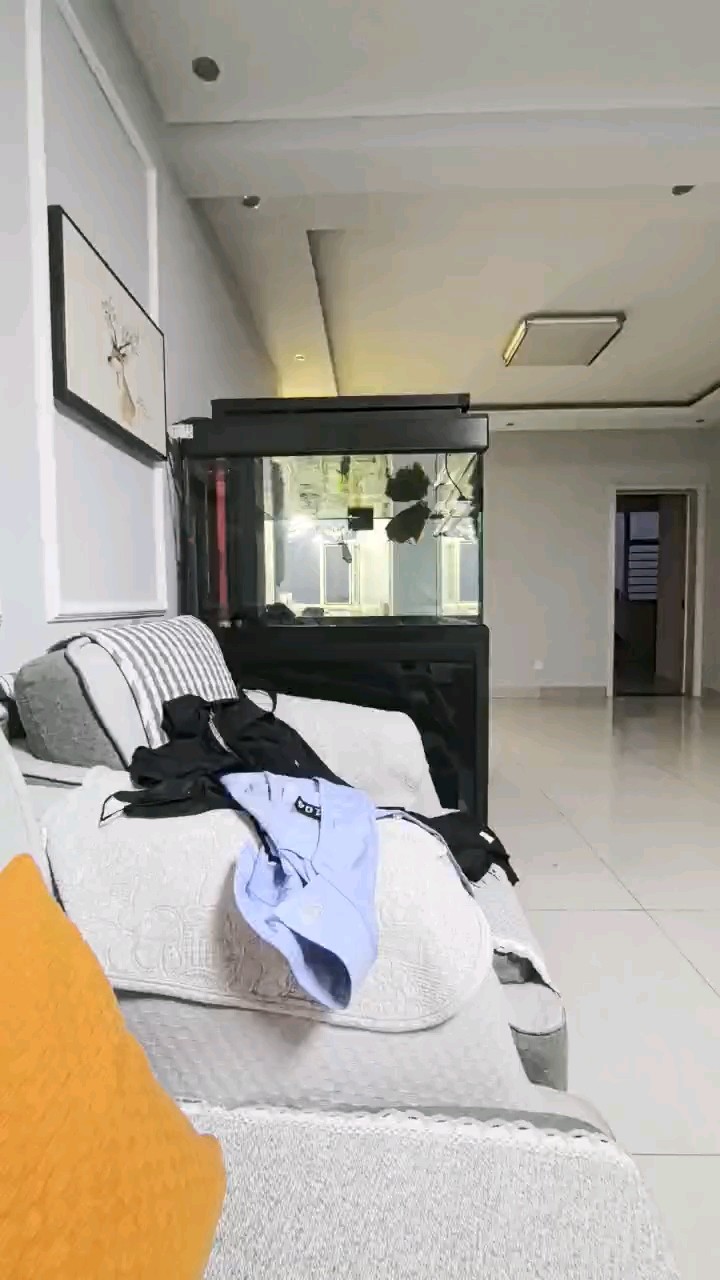視頻上傳后咋這樣了