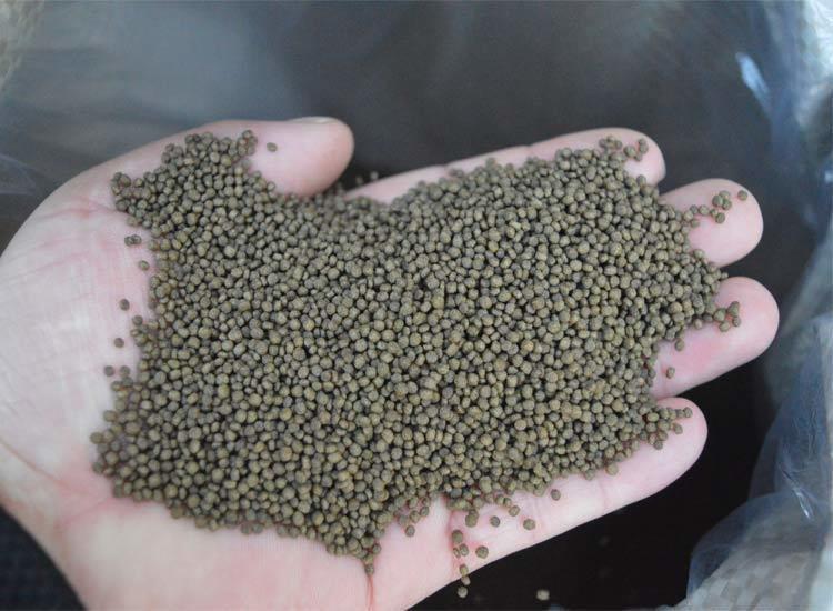 配料表里有速溶咖啡粉和咖啡豆提取物(咖啡配料咖啡豆提取物是什么)