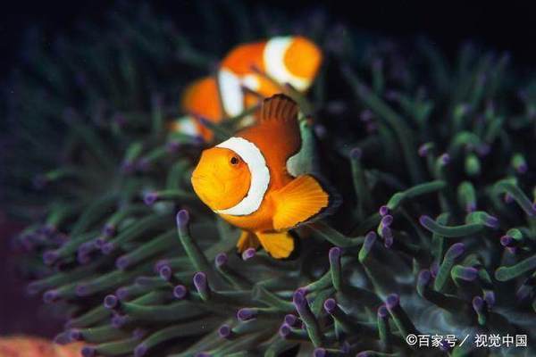 博特水泵改造增壓泵多少錢：博特水泵改造增壓泵多少錢博特水泵改造增壓泵價格
