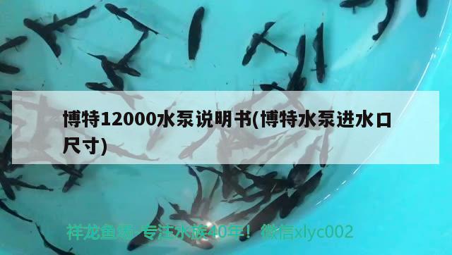 博特12000水泵說明書(博特水泵進(jìn)水口尺寸)