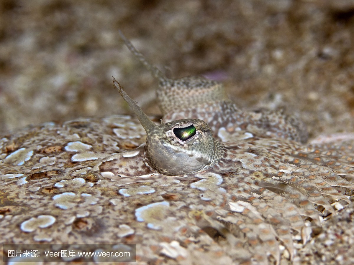 創寧水泵哪里生產的好一點(創寧水泵哪里生產的好一點呀)