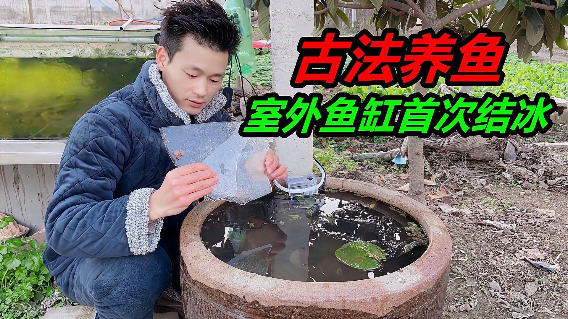 露天大缸養魚注意什么，《露天大缸養魚注意什么》