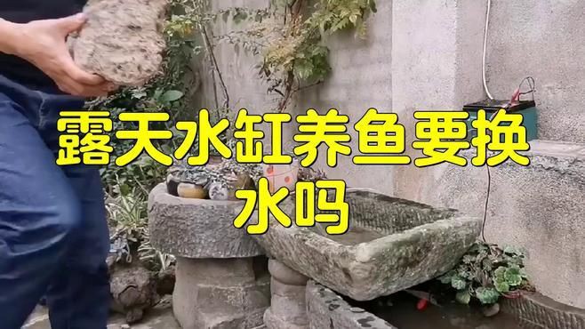 露天大缸養魚注意什么，《露天大缸養魚注意什么》