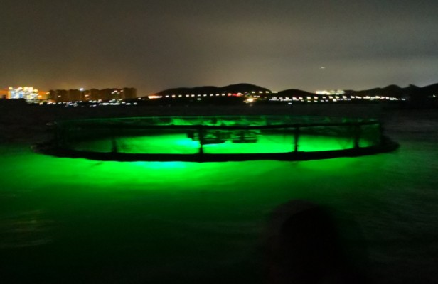 創寧加熱棒E1，創寧加熱棒e1是什么故障 創寧加熱棒E1，創寧加熱棒e1是什么故障 創寧水族 第1張