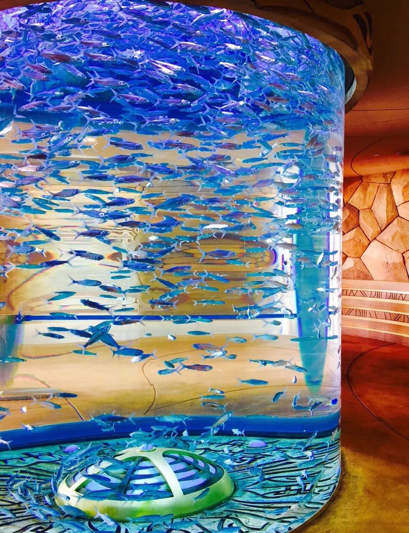 三沙水族店，三亞亞特蘭蒂斯水族館探秘欣欣love到處走走三沙水族店有潛水體驗嗎