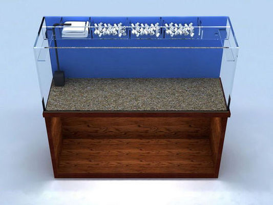 魟魚生長速度：魟魚的生長速度受到多種因素影響，魟魚的生長速度可以很快