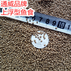 紅龍魚鱗框發白