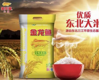 創(chuàng)寧變頻水泵靜音嗎，變頻水泵為什么靜音 創(chuàng)寧變頻水泵靜音嗎，變頻水泵為什么靜音 創(chuàng)寧水族 第2張
