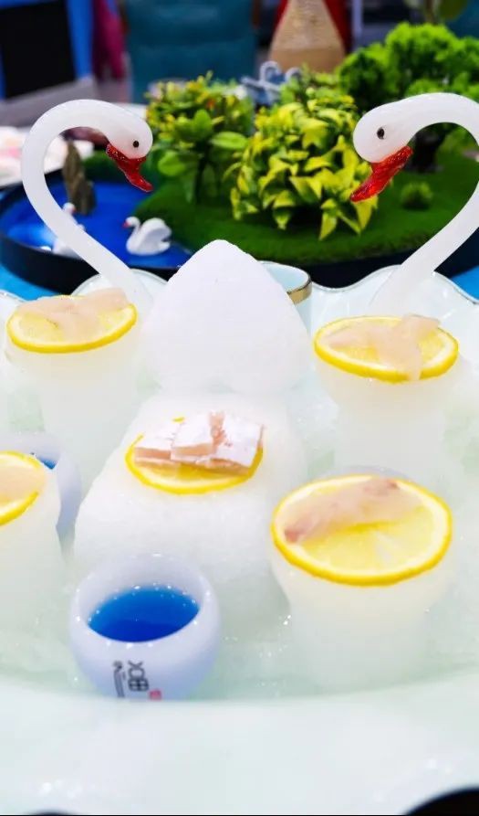 博爾塔拉蒙古龍魚店，博樂市龍魚宮寵物店的具體地址在哪里