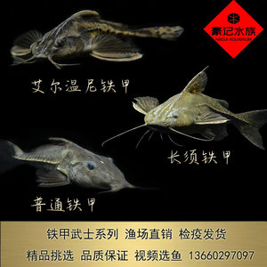 深圳市南山區(qū)鳳凰花苑花店 深圳市南山區(qū)鳳凰花苑花店 全國水族館企業(yè)名錄 第1張
