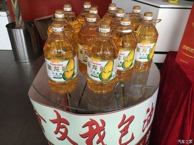 武漢市江岸區鑫貓水族館（武漢市江岸區鑫貓水族館地址）