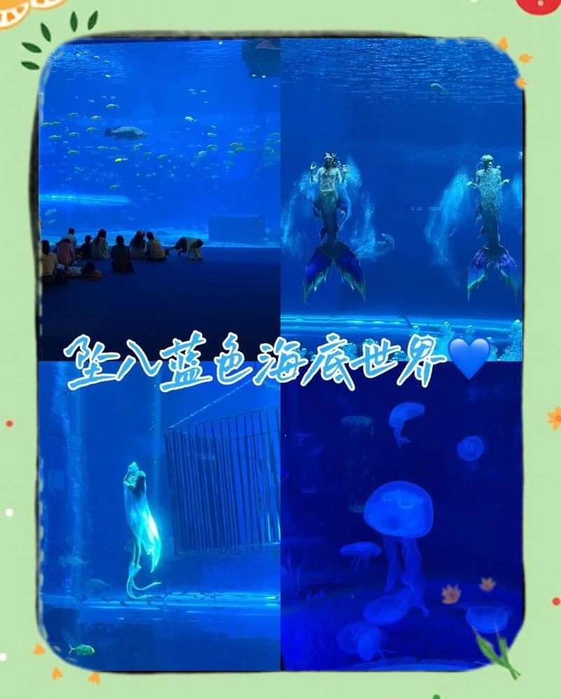 海口水族店，海口海洋主題水族店 海口水族店，海口海洋主題水族店 全國水族館企業名錄 第3張