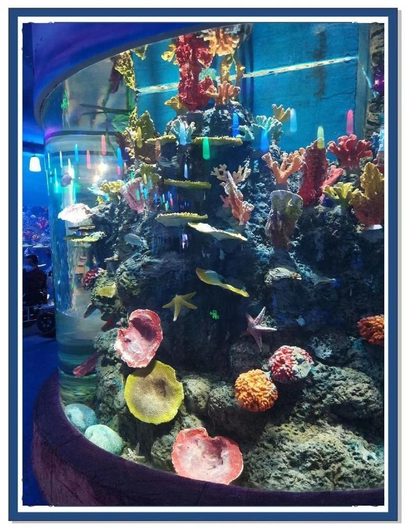 海口水族店，海口海洋主題水族店 海口水族店，海口海洋主題水族店 全國水族館企業名錄 第6張