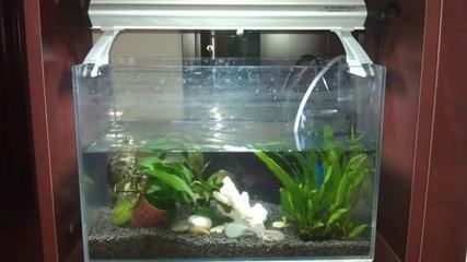 50x30x30魚缸可以養多少條魚？：50x30x30x30x30x30x30x30x30x30x30