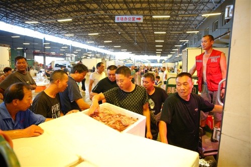 正寧龍魚店，正寧龍魚價格如何