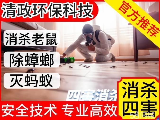 滅老鼠上門服務，“滅老鼠上門服務”應運而生，滅老鼠上門服務綜合信息整理