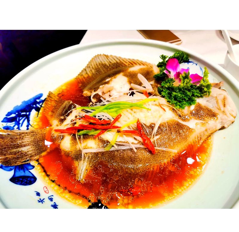 東崗龍魚店，東崗地區(qū)有哪些知名的龍魚店？ 東崗龍魚店，東崗地區(qū)有哪些知名的龍魚店？ 全國水族館企業(yè)名錄 第3張