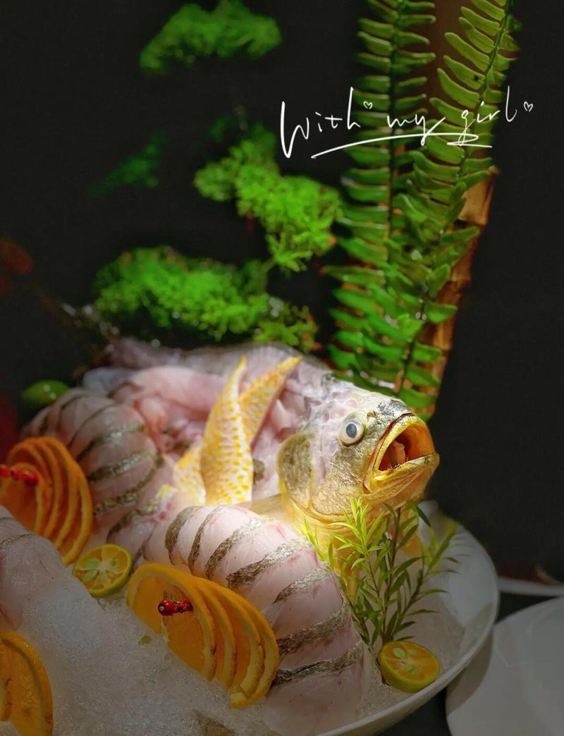 東崗龍魚店，東崗地區(qū)有哪些知名的龍魚店？ 東崗龍魚店，東崗地區(qū)有哪些知名的龍魚店？ 全國水族館企業(yè)名錄 第2張