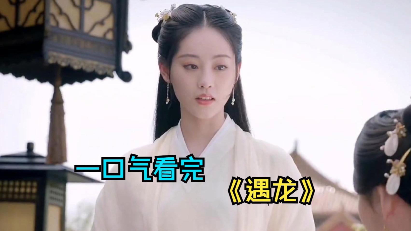 《遇龍(1V1)》的情節簡介