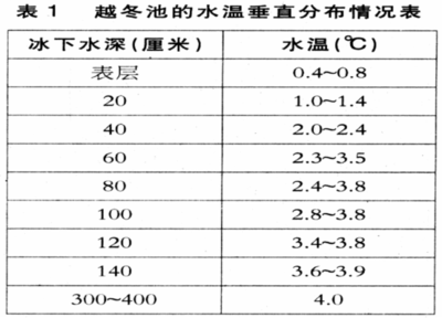 超白魚缸玻璃多少錢一平方：超白玻璃魚缸價格因素超白玻璃魚缸價格因素因素