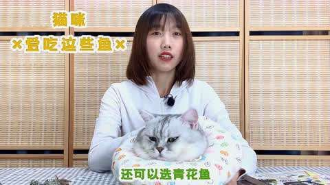 貓咪最愛吃的四種魚，貓咪對魚類有著天然的喜愛