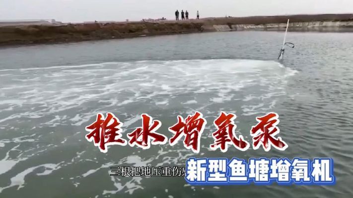 哪個牌子的龍魚缸好用一點呢，濰坊龍魚缸品牌介紹