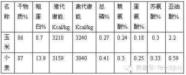 龍魚突然不吃食了怎么辦呀