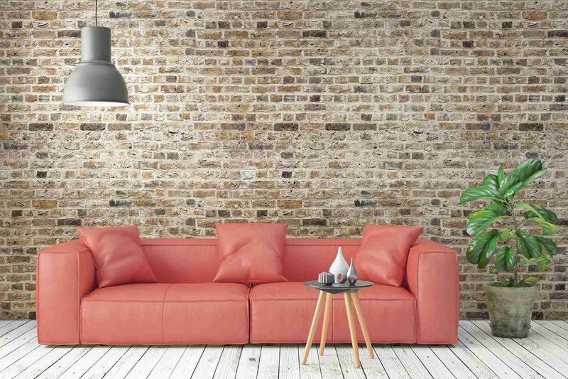 天津龍魚店，天津市寶坻區龍龍魚店 天津龍魚店，天津市寶坻區龍龍魚店 全國水族館企業名錄 第3張