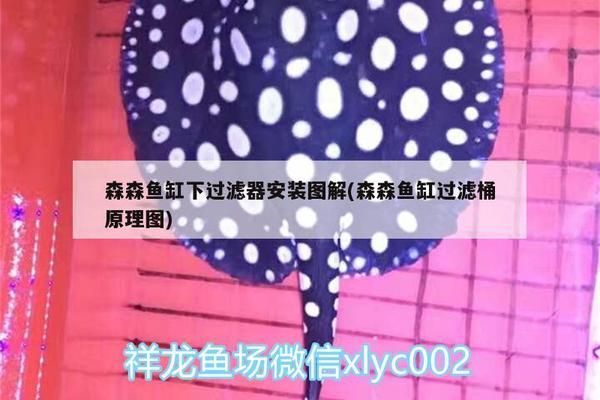 森森魚缸過濾器使用方法：森森魚缸過濾器使用方法和注意事項和注意事項