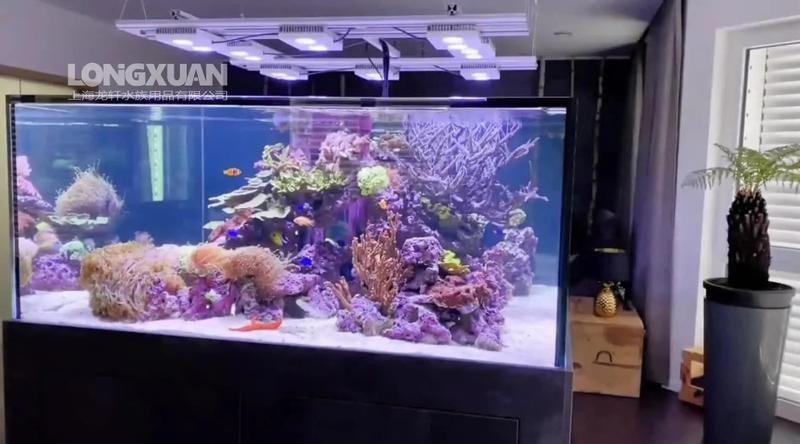 三亞魚缸定做，三亞大型亞克力魚缸定做