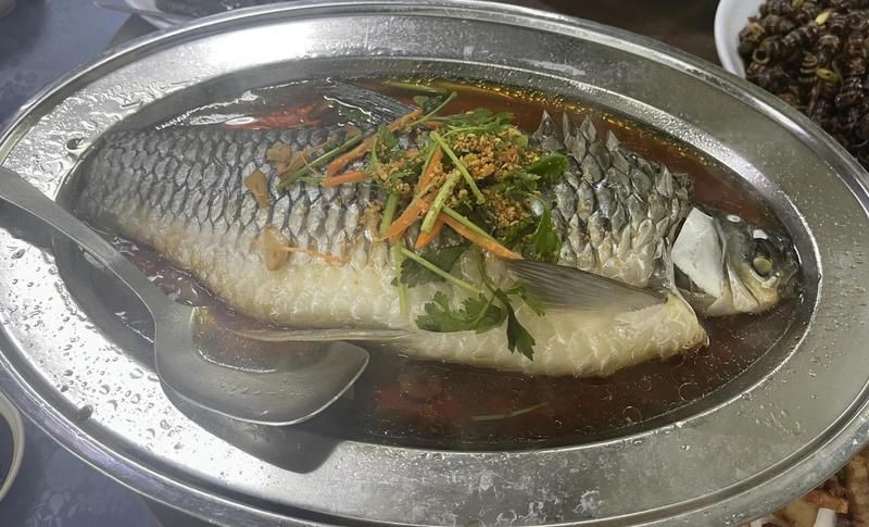 皇帝魚屬于什么魚，皇帝魚有哪些常見的品種