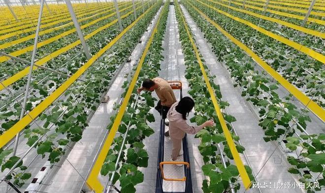 創寧加熱棒質量怎么樣呀，創寧601加熱棒怎么樣
