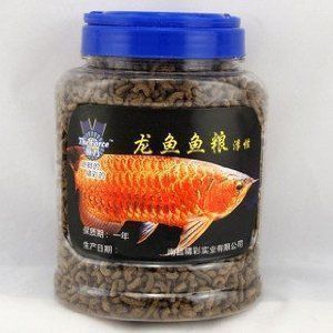 龍魚喂魚食可以嗎vs祥龍魚場：如何判斷龍魚飼料質量